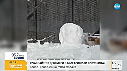 Пандите в зоопарка в Торонто се радват на снега