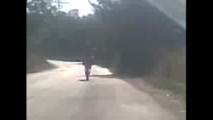 Кирчо кара на задна гума