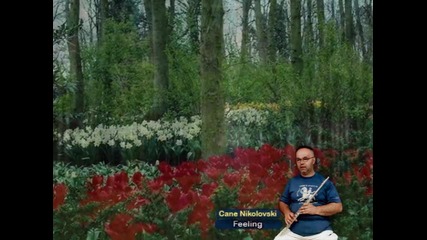 Cane Nikolovski - Feelings