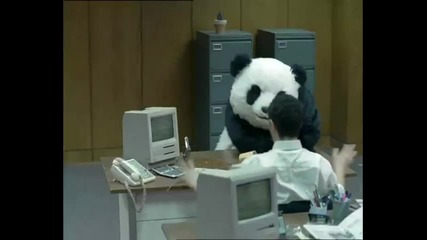 Панда откача в офиса ! 