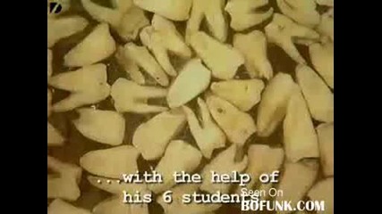 Град направен от зъби!!!