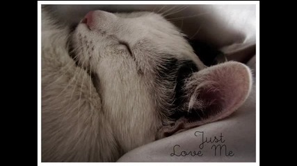 Yiruma - Sweet Dreams, My Dear