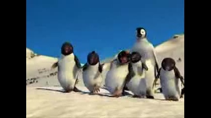 Dancing & Rapper Penguins - 5 