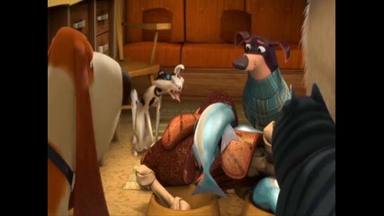 Best of the dumb cat Roger - Open season 3 