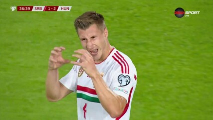 Сърбия - Унгария 1:2 /първо полувреме/
