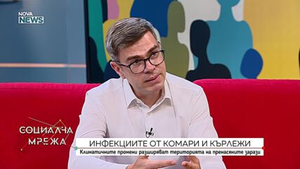 В разгара на лятото: Какво да правим, ако ни ухапе кърлеж или комар?