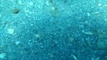 Морско дъно - вижте феноменалната природа