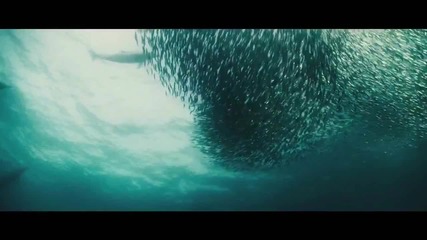 Морско вълшебство