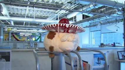 Google Chicago Headquarters Tour