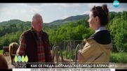 Да хванеш гората (01.06.2025)