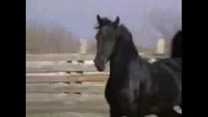 konete