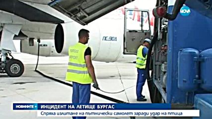 Птица удари излитащ самолет на Летище Бургас, отложиха полета