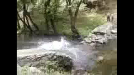 druslq mnogo qko 