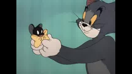 Tom And Jerry - Casanova Cat
