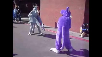 Combat Pokemon 