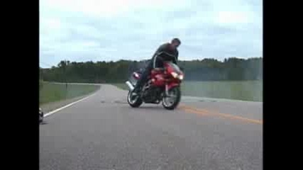 stunt 