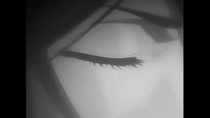 Bleach- Hero