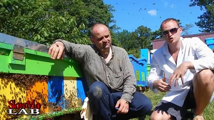 Медоносни пчели на забавен кадър