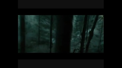 Let me sign Twilight scene