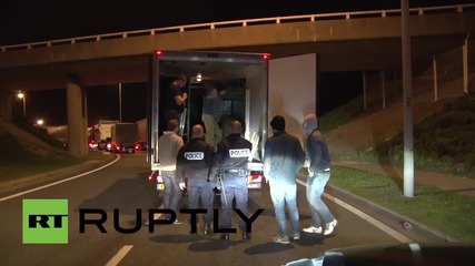 France/UK: Calais migrants bump into POLAR BEAR after sneaking onto lorry
