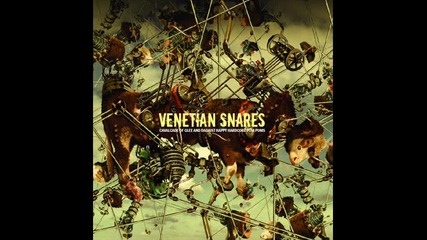 Venetian Snares - Devils Totem 