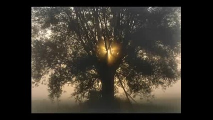 Somwhere Between Night And Day