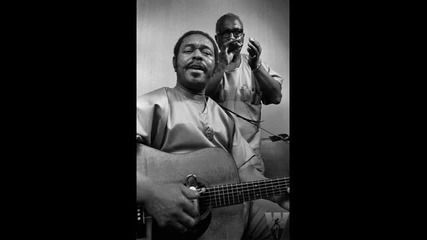 Sonny Terry & Brownie Mcghee - I got a woman