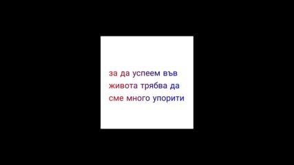 Vid_1716361265426.mp4