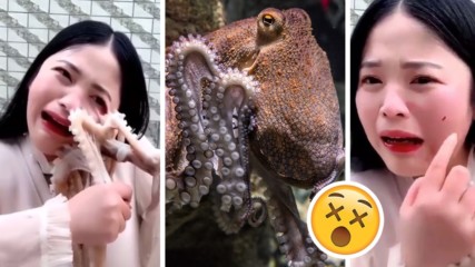В името на онлайн славата: Влогърка пробва да яде жив октопод, той я нападна!