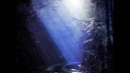 Krokus - Night Wolf