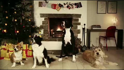 Дори и Кучетата Пеят - Jingle Bells 
