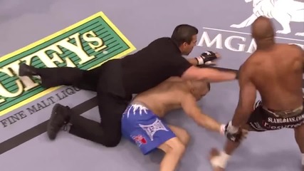 Mma Fighter_ Quinton Jackson