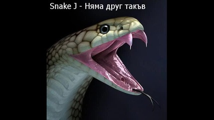 Snake J - Няма друг такъв