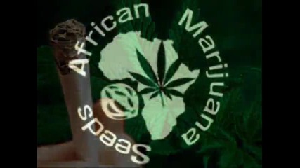 African Herbsman - Bob Marley 