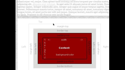 Уеб Разработване уроци - Css - Научете Css - Урок 10