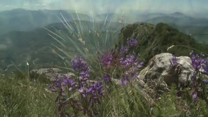Un sogno di natura 