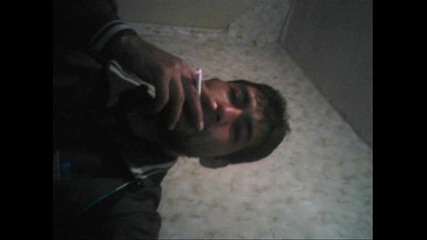 picagata 2011