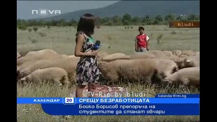 Бойко Борисов : студентите да станат овчари
