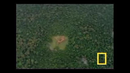 National Geographic Channel - Горила vs Горила
