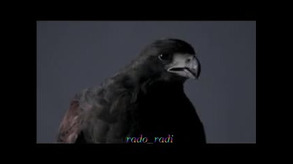 Grafa feat. Jahmmi - Causa Perduta Official video 2012