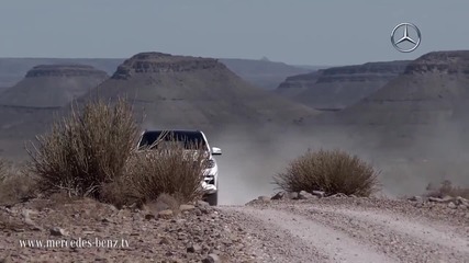 Mercedes-benz The new M-class