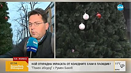 "Пълен абсурд": Откраднаха част от играчките върху коледните елхи в Пловдив