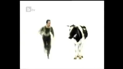 10 години най - смешните животни и хора на планетата 