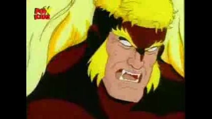 Wolverine Vs Sabretooth Amv.flv