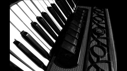 It Must Have Been Love Accordeon Cover