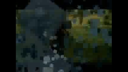 Lotr - Everybodys Fool