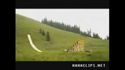 Най - лудата пързалка