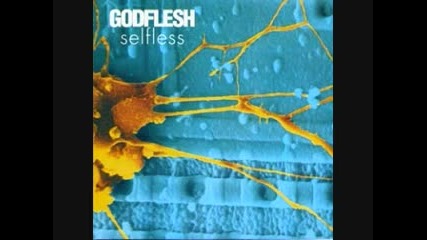 Godflesh - Xnoybis 