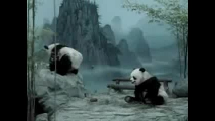 Панда и 4овек който се прави на панда!