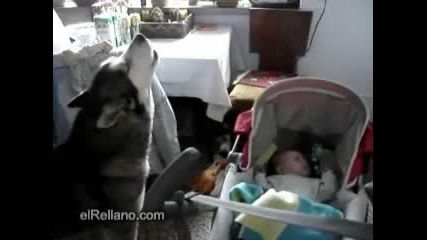 Куче успокоява плачещо бебенце :]